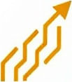 Wealth Insights